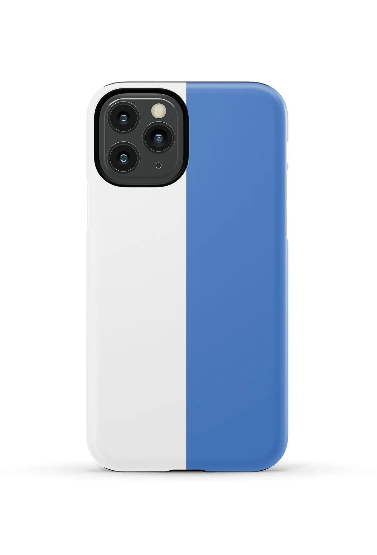 Color Block iPhone Case