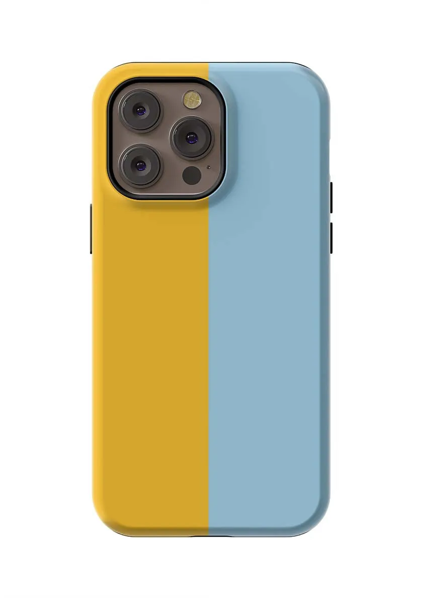 Color Block iPhone Case