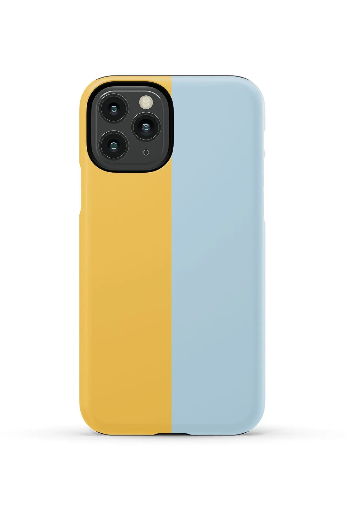 Color Block iPhone Case