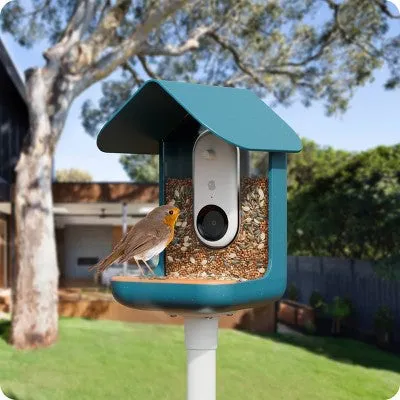 Open Box Bird Buddy Outdoor Bird Feeder Kit 9" - Blue