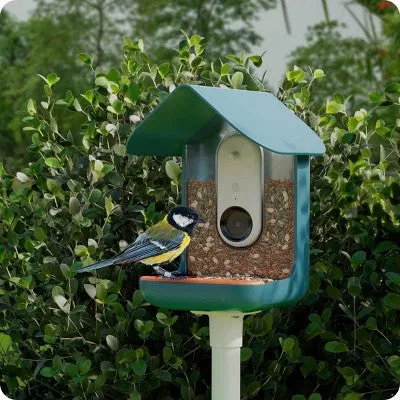 Open Box Bird Buddy Outdoor Bird Feeder Kit 9" - Blue