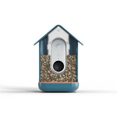 Open Box Bird Buddy Outdoor Bird Feeder Kit 9" - Blue